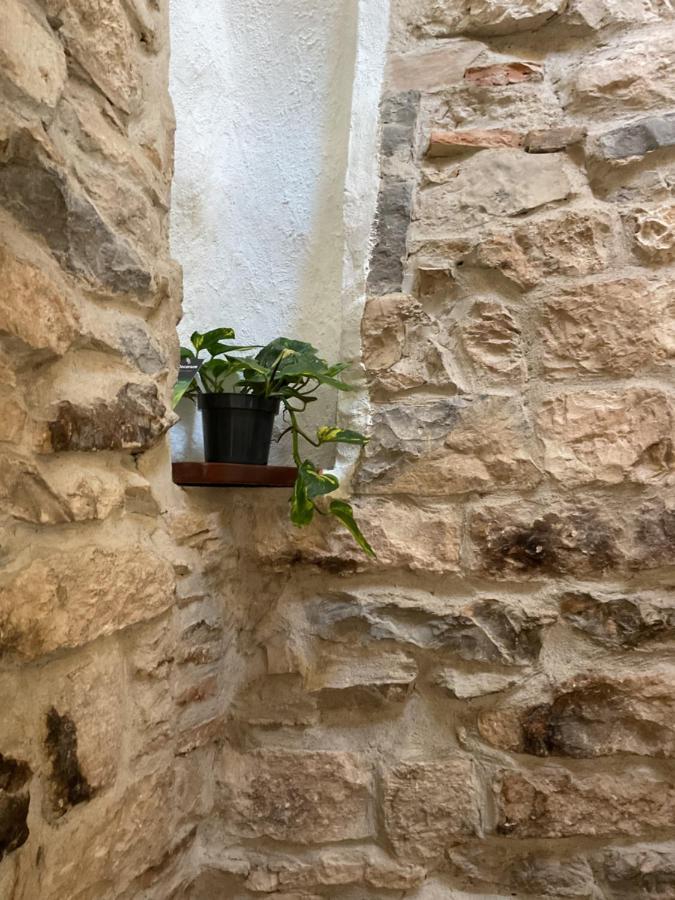 님 Place Aux Herbes 아파트 외부 사진